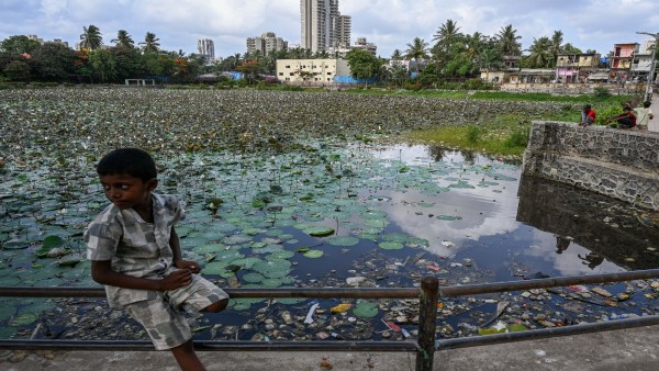 Mumbai lake rejuvenation project