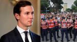 Kushner Albania