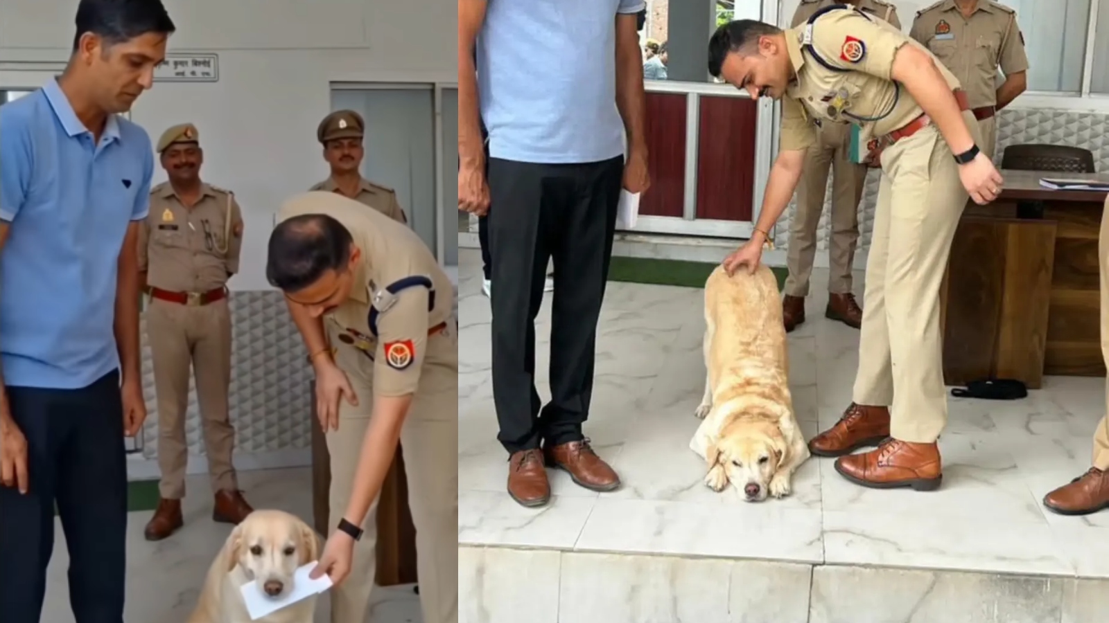 No CCTV, no witnesses: How Labrador Mary helped police solve UP girl assault case