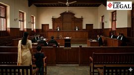Lawyer Child Custody Kerala High Court