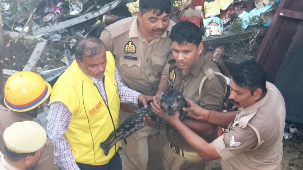 So far, around 13 animals, including cats, dogs and parrots, have been rescued