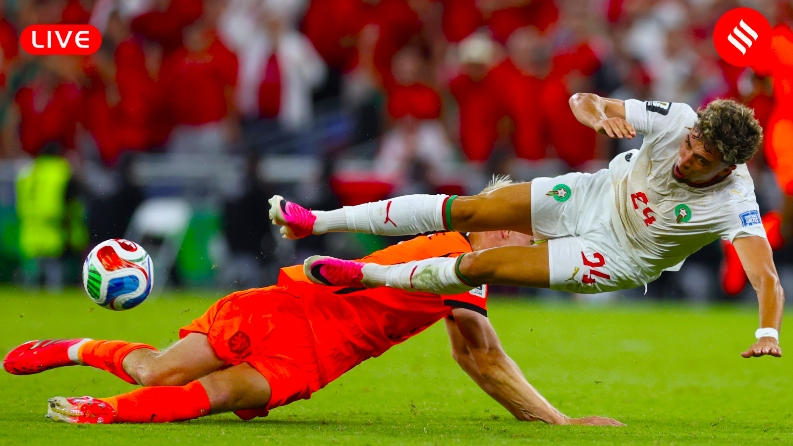 Netherlands vs Morocco, FIFA World Cup 2026 Live Score: Cody Gakpo scores for NED