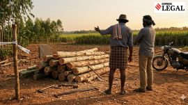 Madras High Court tree felling theft case