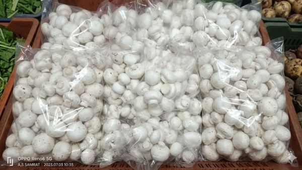 The idea of mushroom cultivation emerged from observations made during their visits to wholesale markets