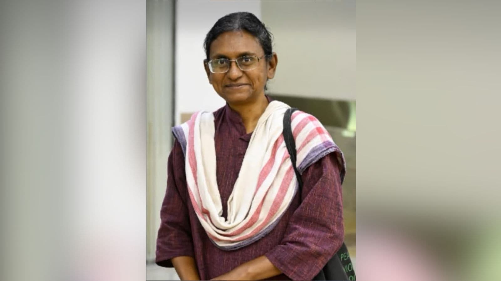 Congress approaches Supreme Court over Meenakshi N