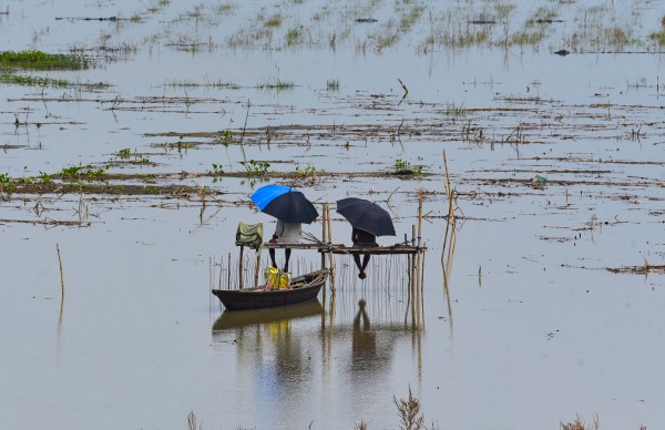 People sit on a temporary bamboo platform over a flooded area after a substantial rise in the Brahmaputra river water level, at Burha Mayong village in Morigaon, Thursday, June 25, 2026.  (PTI Photo)