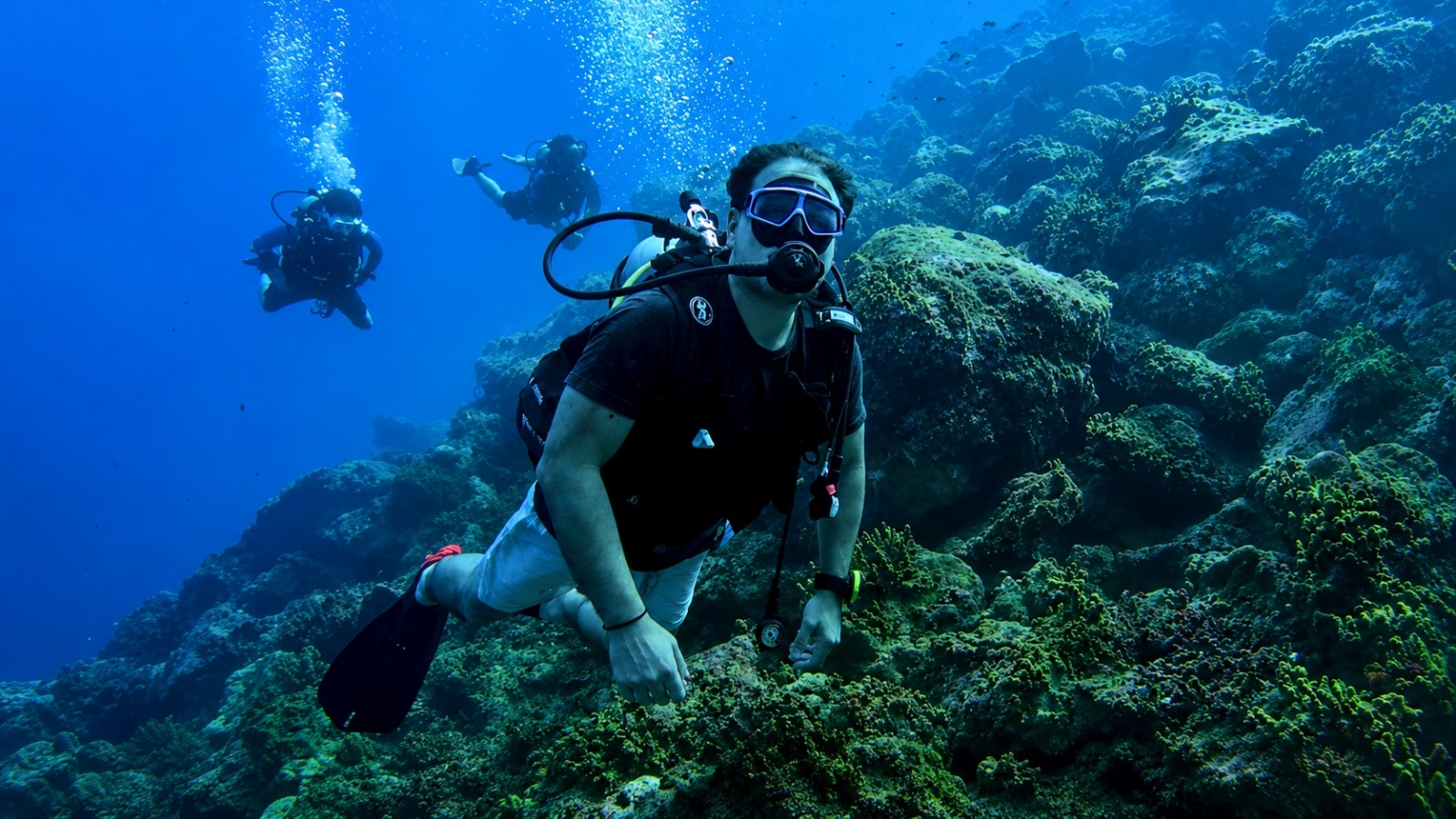 Inspired by Rahul Gandhi’s dive, explore these 5 scuba diving spots in the Andamans