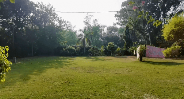 Seema Sajdeh's Amritsar home