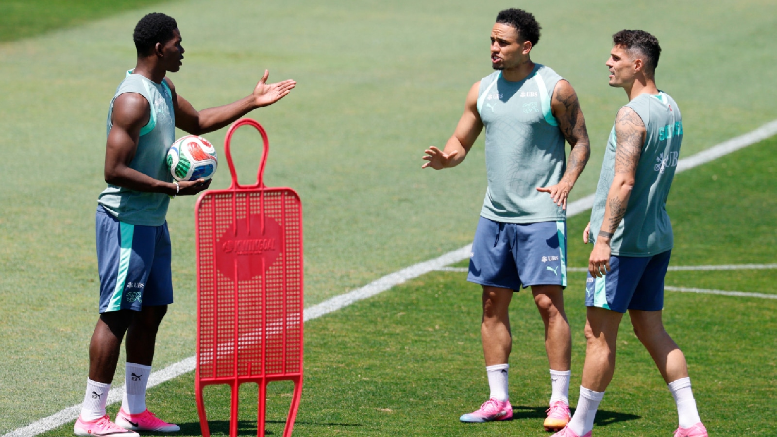 Switzerland, Norway have an additional opponent to fear in training – snakes | Football News