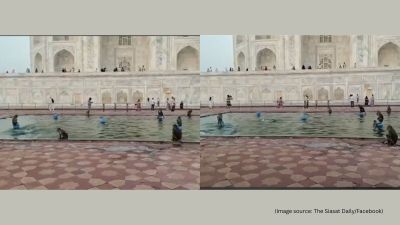 Taj Mahal monkeys video