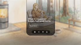 Google Dreambeans