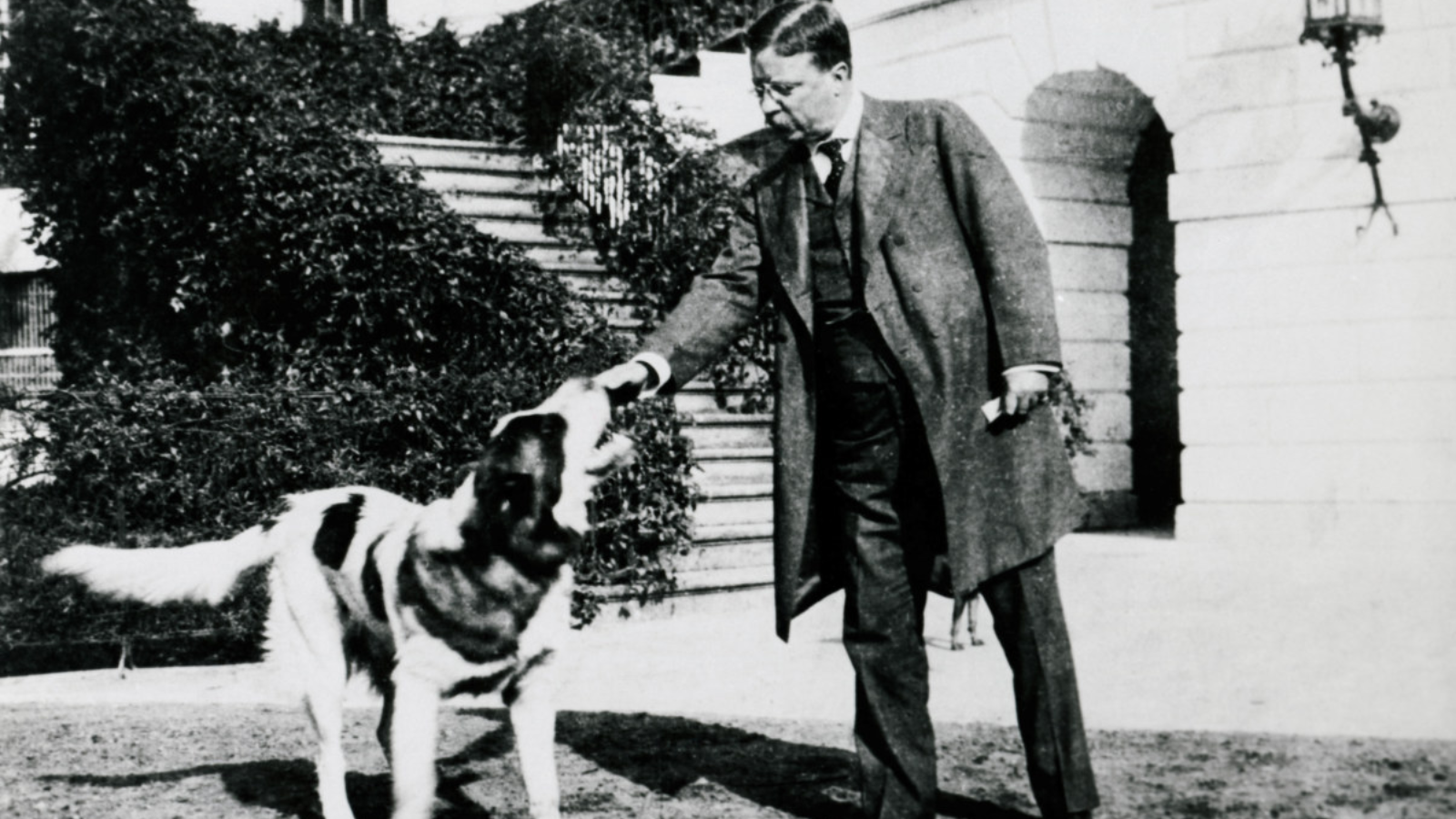 The strangest pets in history