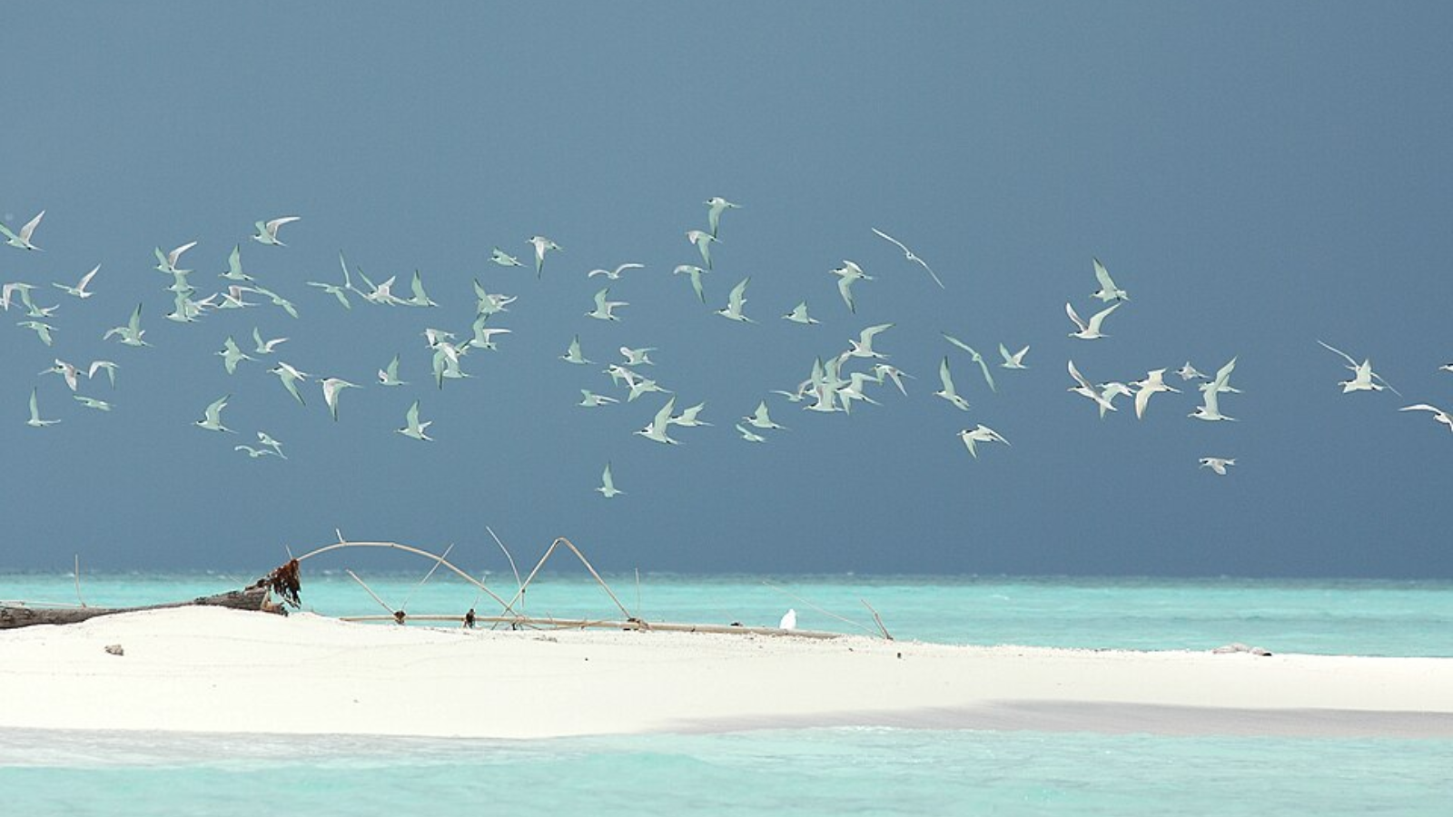 The most immersive nature experiences in South Asia