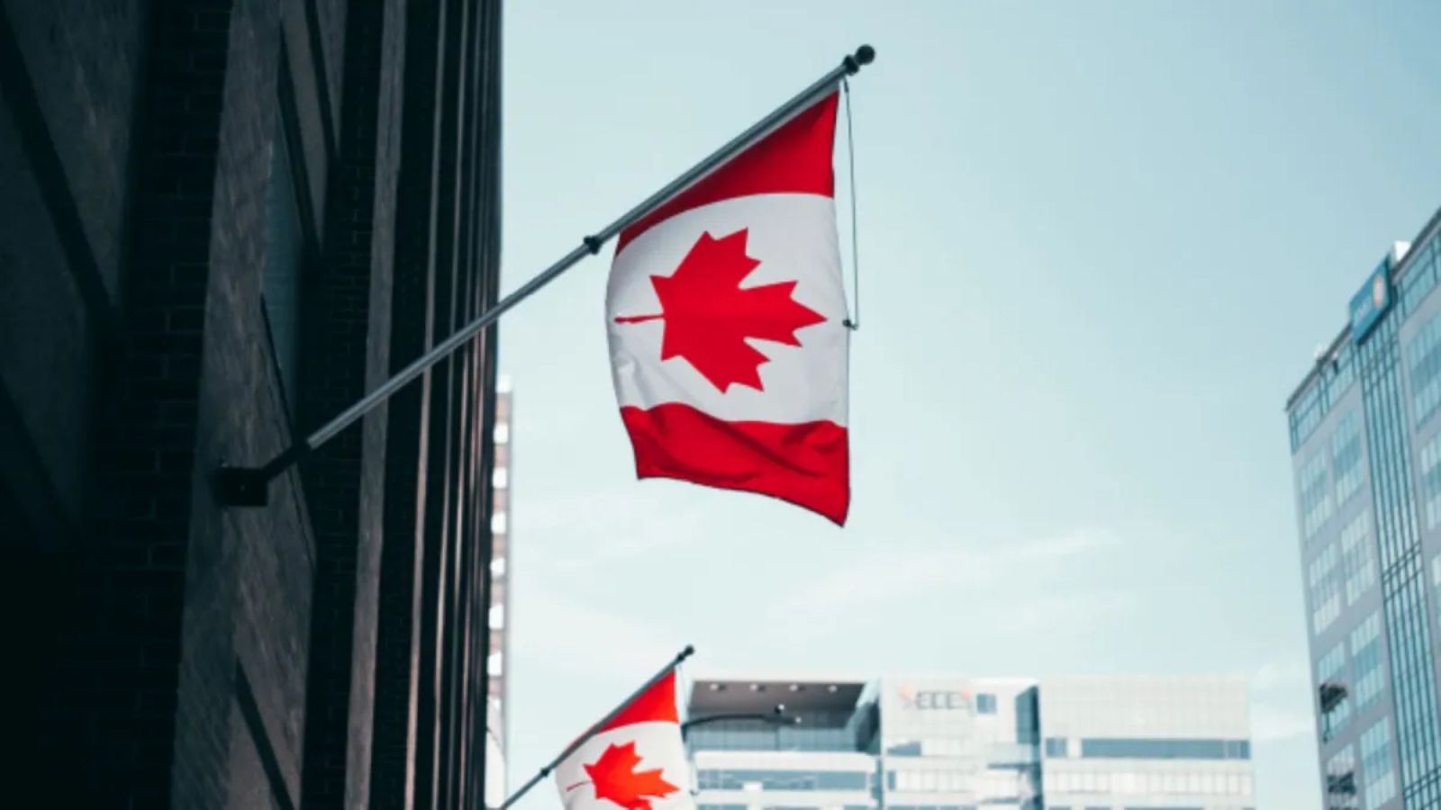 Canada tightens citizenship-by-descent rules: 82,000 applicants affected
