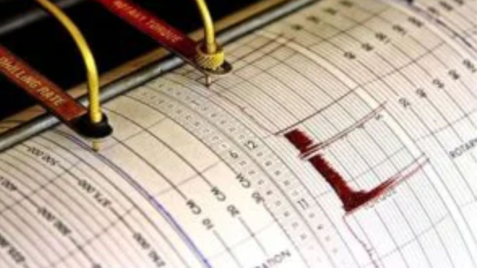 Earthquake of magnitude 8.2 hits Mindanao, Philippines: Tsunami warning issued