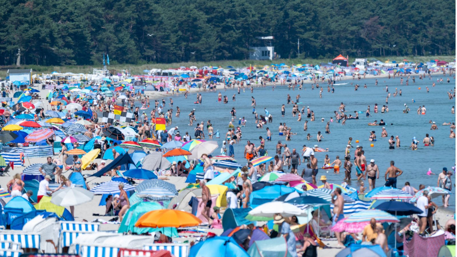 Record temperatures in Europe lead to deaths, strain on hospitals and infrastructure