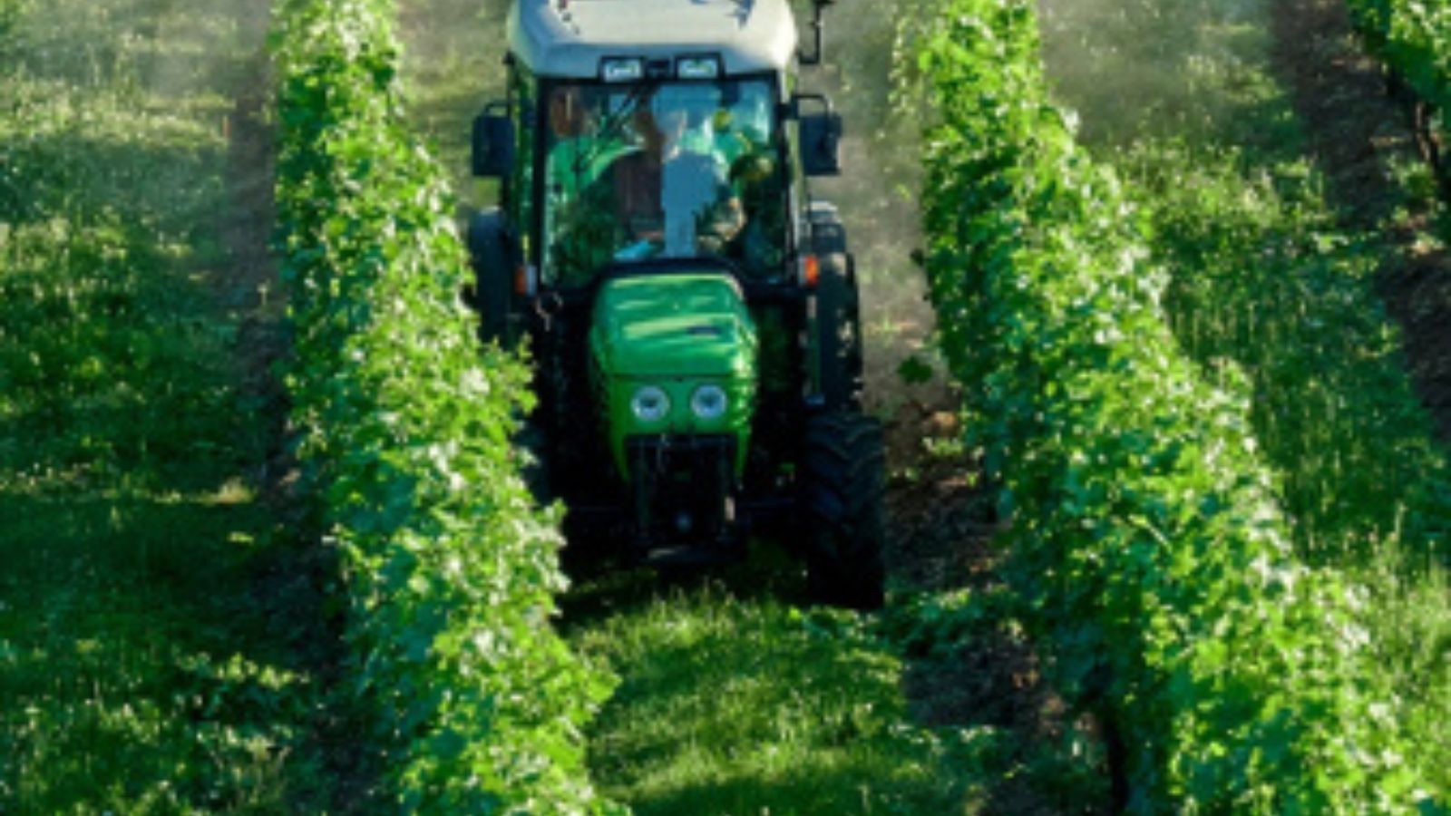 Doctors missing pesticide-linked illnesses says PAN India report