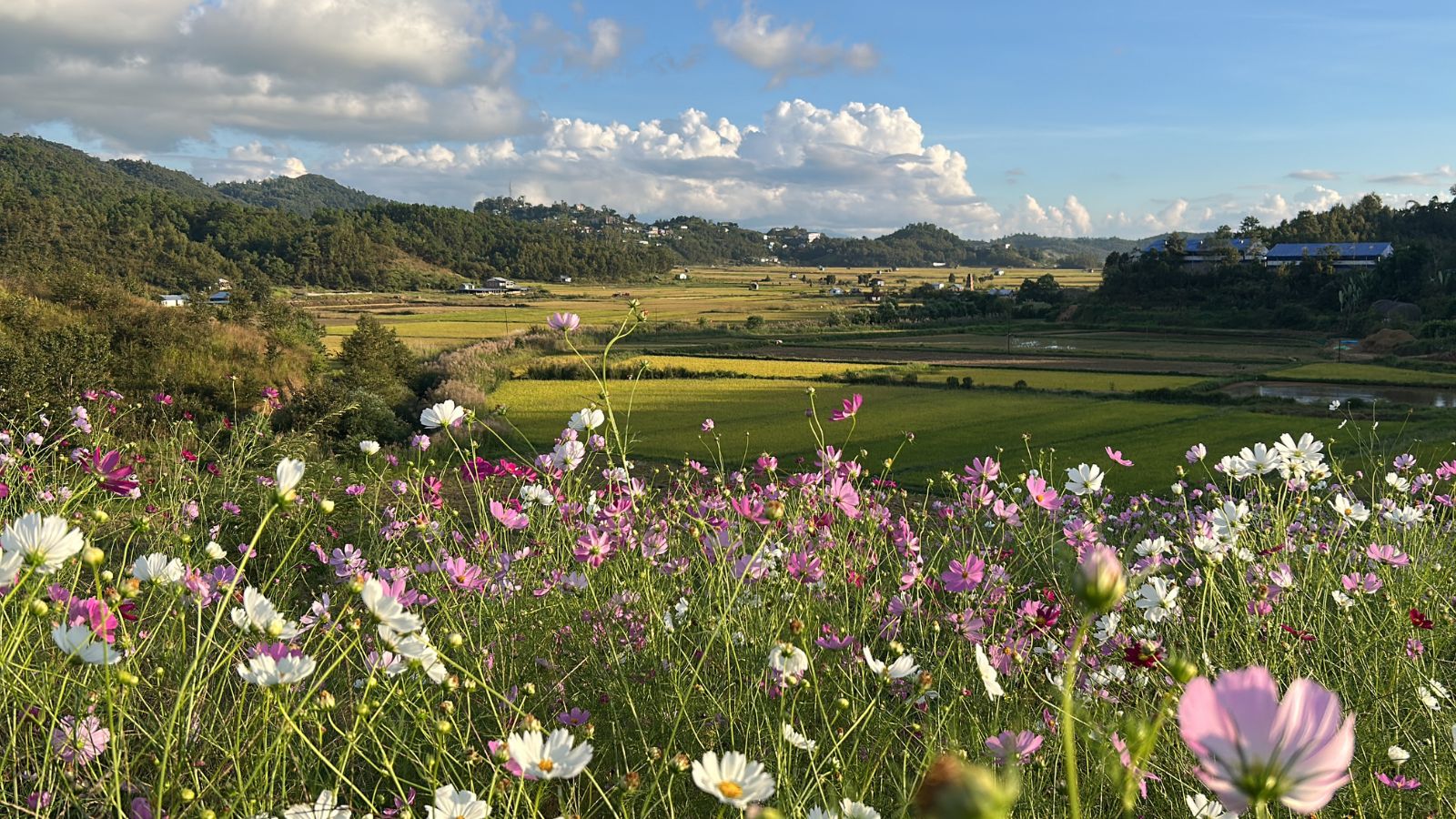 Champhai Valley is also known as the 