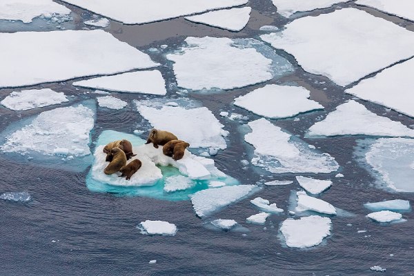 Knowledge Nugget | 5 critical environmental lessons from the last year?