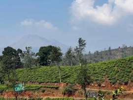 Western Ghats ESA