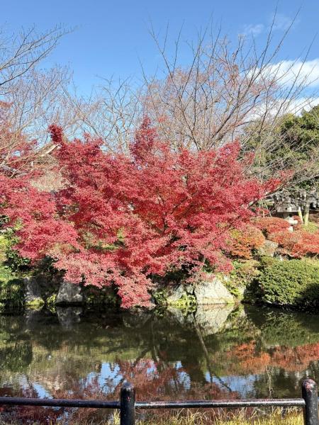 Kiyomizu-dera Temple, Kyoto