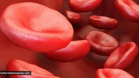India carries one of the world's largest sickle cell disease burdens, accounting for an estimated 16 per cent of global cases, according to the study.