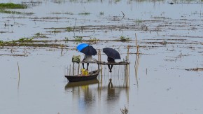 People sit on a temporary bamboo platform over a flooded area after a substantial rise in the Brahmaputra river water level, at Burha Mayong village in Morigaon. (Source: PTI)