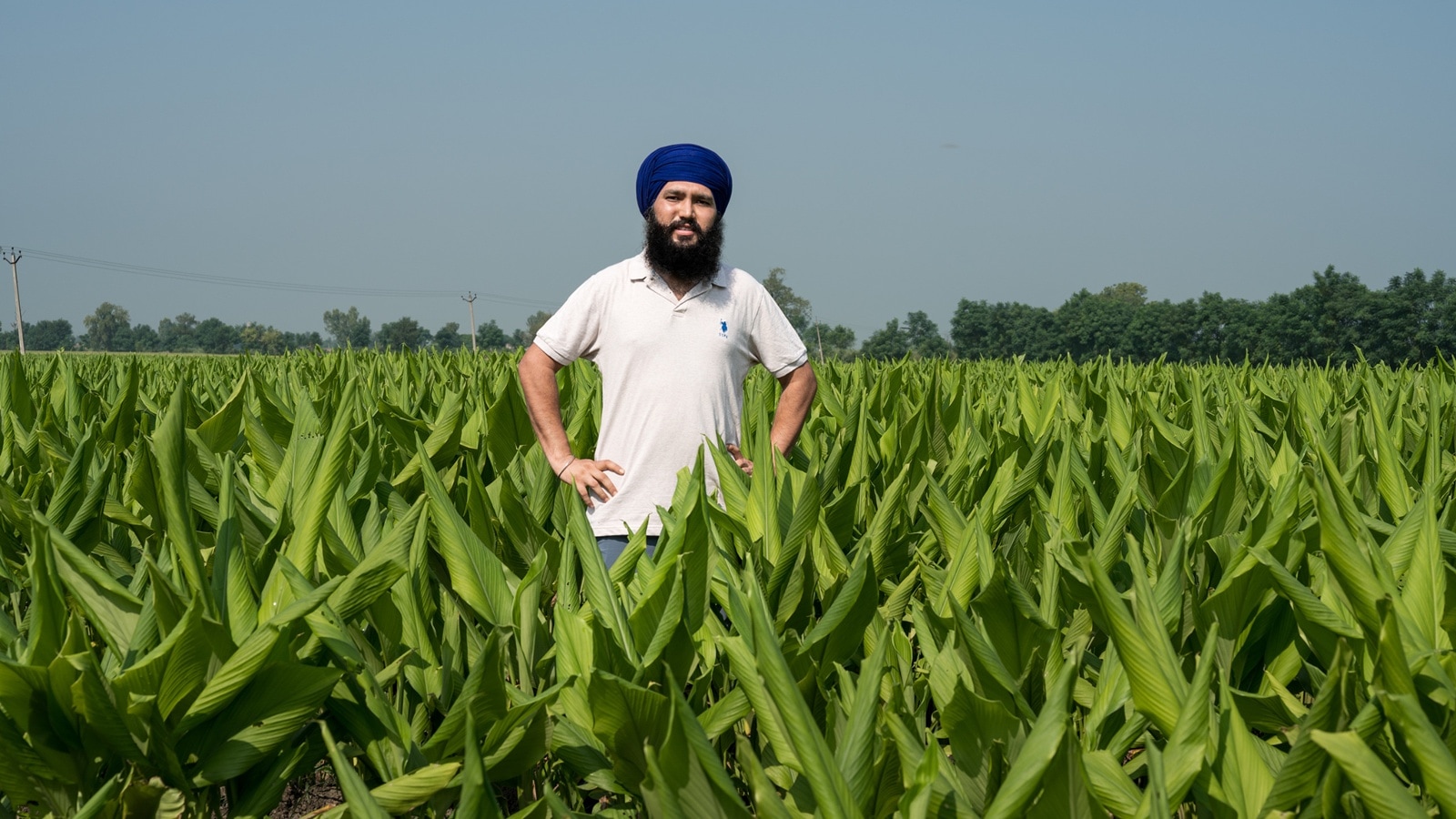 A golden harvest & bumper sales: How a man tripled his income from Rs 11L to Rs 38L
