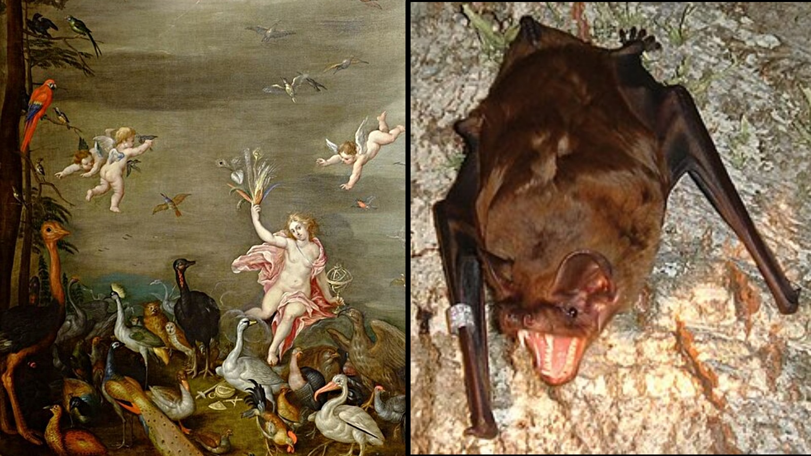 The hidden animal mystery inside a 1611 painting has finally been solved