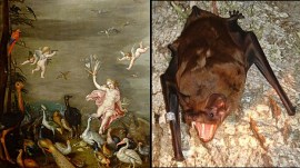 bat