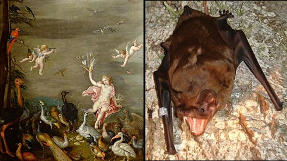 bat