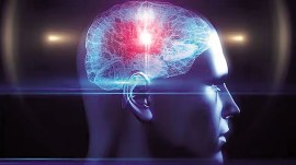 Researchers find a protein that halts brain decline