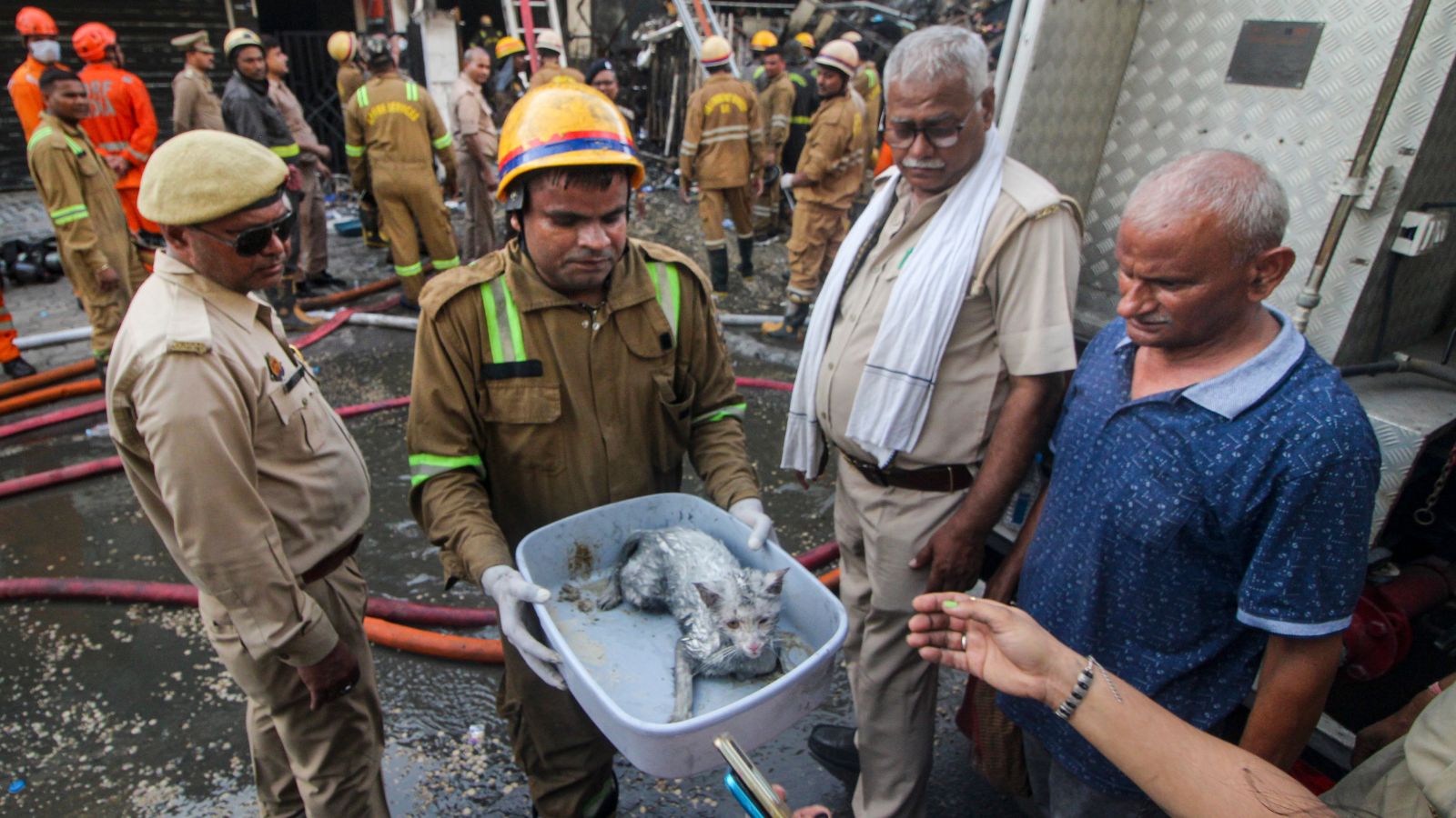 ‘Stayed till last animal was safe’: Meet the 5 who helped rescue pets from Lucknow fire