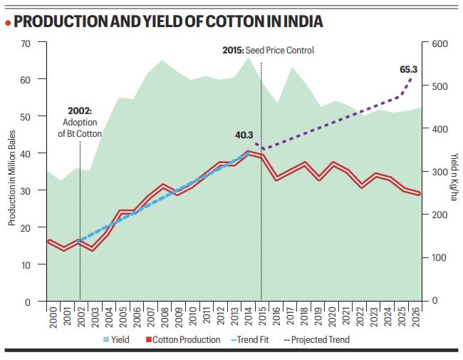 In cotton fields, policy is undoing what science built. That's the challenge for the Cotton Productivity Mission