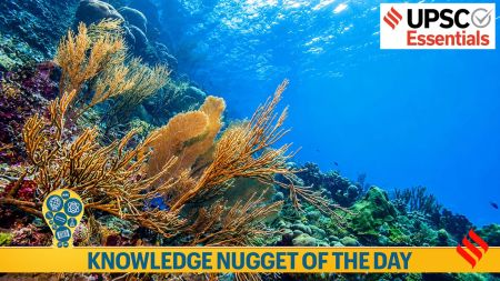 coral reef translocation, great nicobar project, zsi, environment, upsc