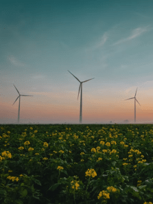 Top ecotourism destinations around the world