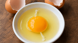 egg