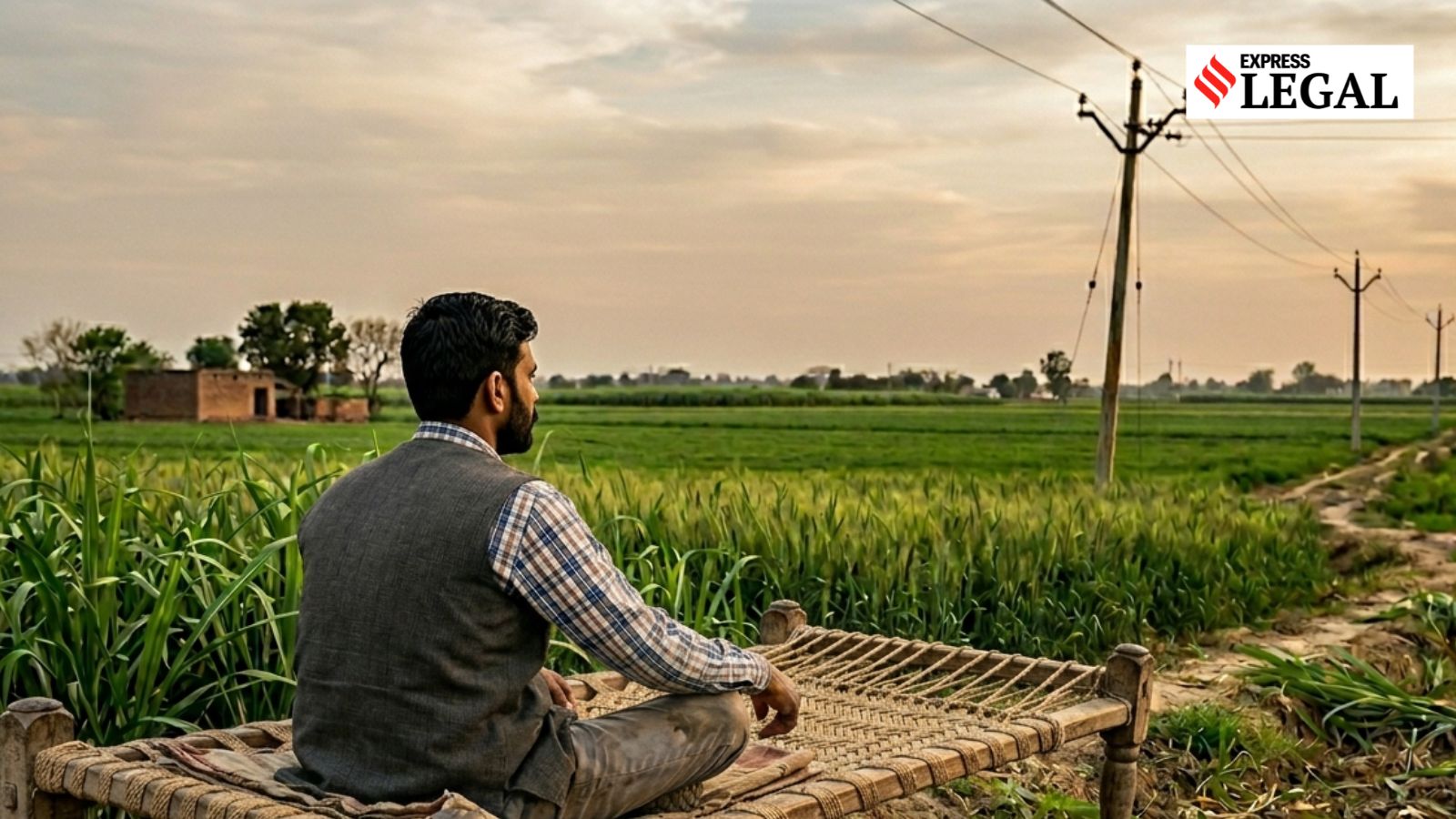 Farmer suffers agri losses due to power cut, wins Rs 20,000 payout