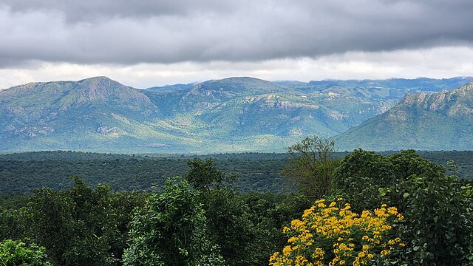 Government prepares to notify Western Ghats eco sensitive areas in at least three states