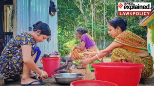 Homemakers are nation builders: How Supreme Court recognised economic value of unpaid domestic labour