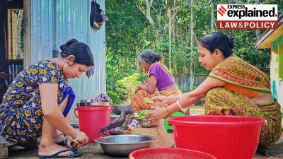 Homemakers are nation builders: How Supreme Court recognised economic value of unpaid domestic labour