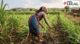 farmer widow compensation maharashtra