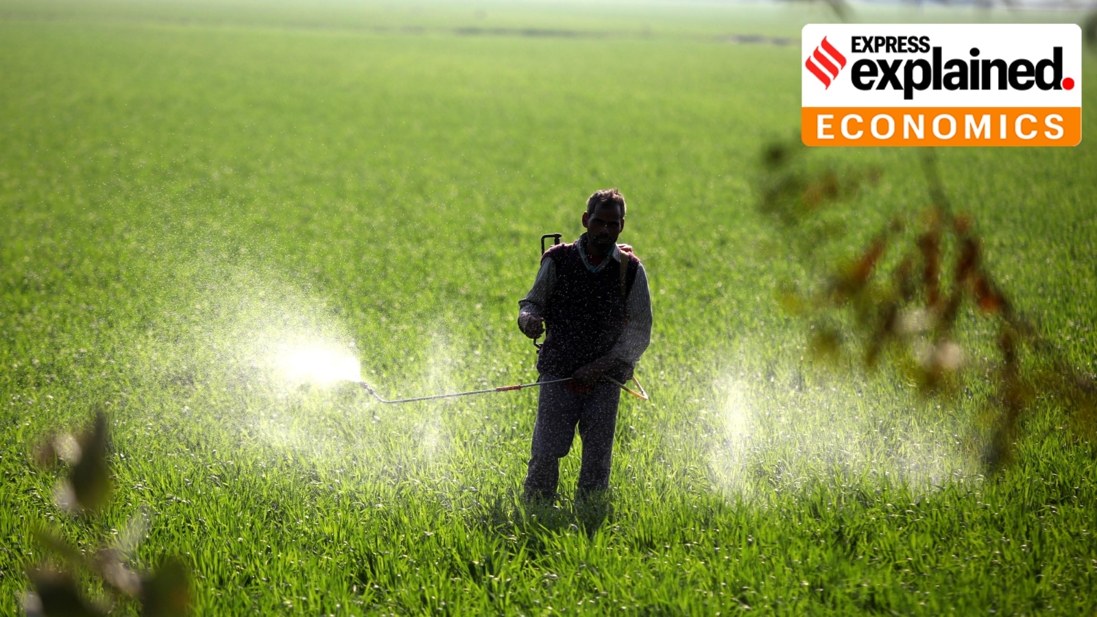 Why government is looking to issue faster approvals for new fertilisers