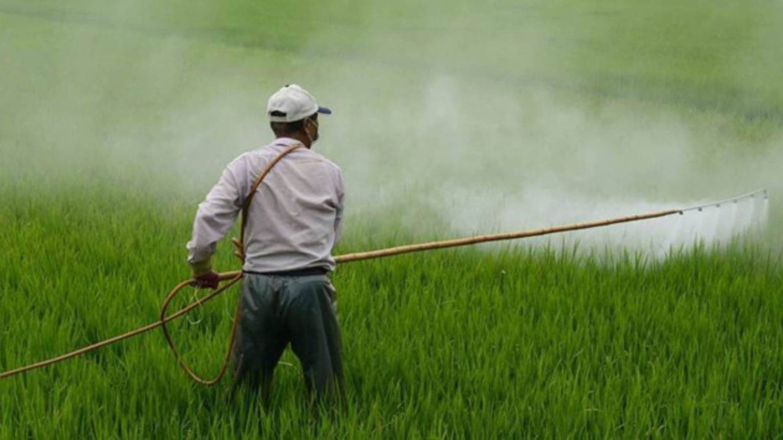 Fertiliser subsidy burden set to double on global supply crunch