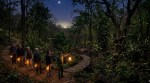 Firefly tourism