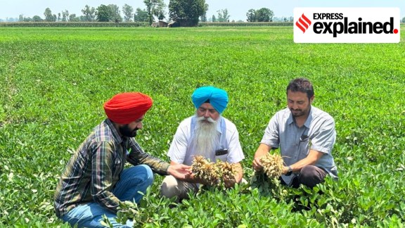 Punjab