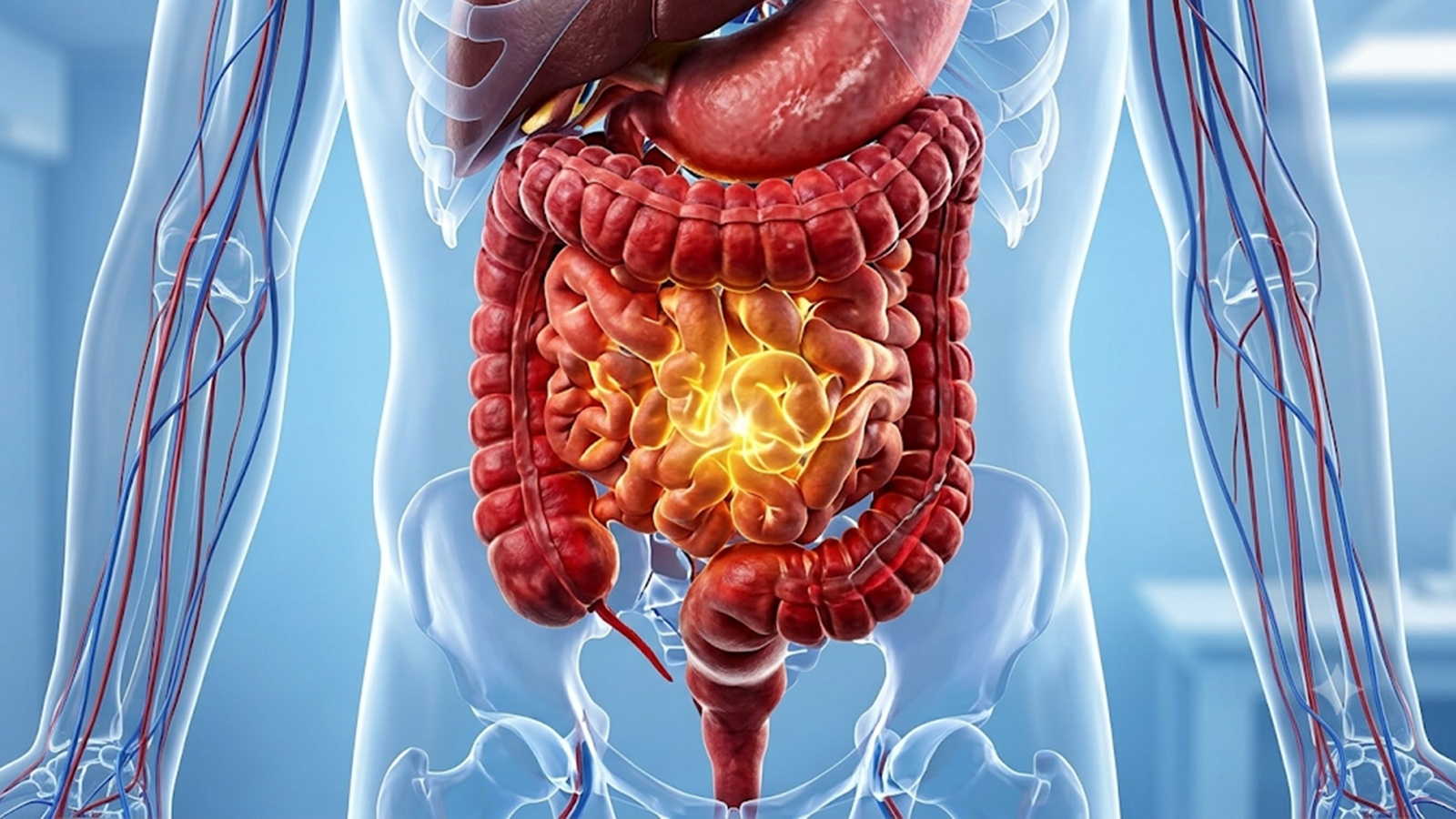 How the gut microbiome changes after 45 and why it matters for your health