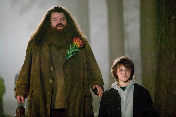 Steven Spielberg was supposed to direct Harry Potter and the Philosopher's Stone.