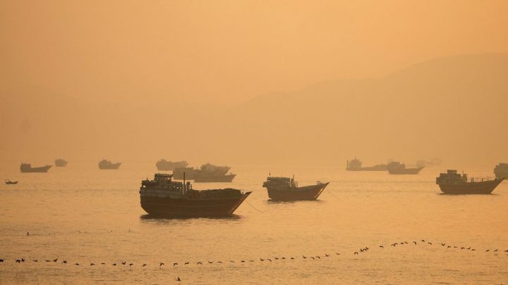 Vessels at the Strait of Hormuz, as seen from Musandam, Oman, June 16, 2026. (REUTERS)