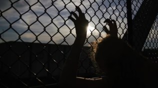 The young men of Iraqi Kurdish identity were captured in Libya by a militia that demanded $5000 from every family member. The human trafficking victims’ families were threatened with surgically removing the victim’s kidney if the payments were delayed.